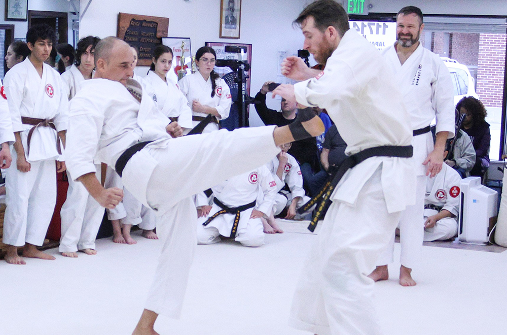 Adult Karate classes